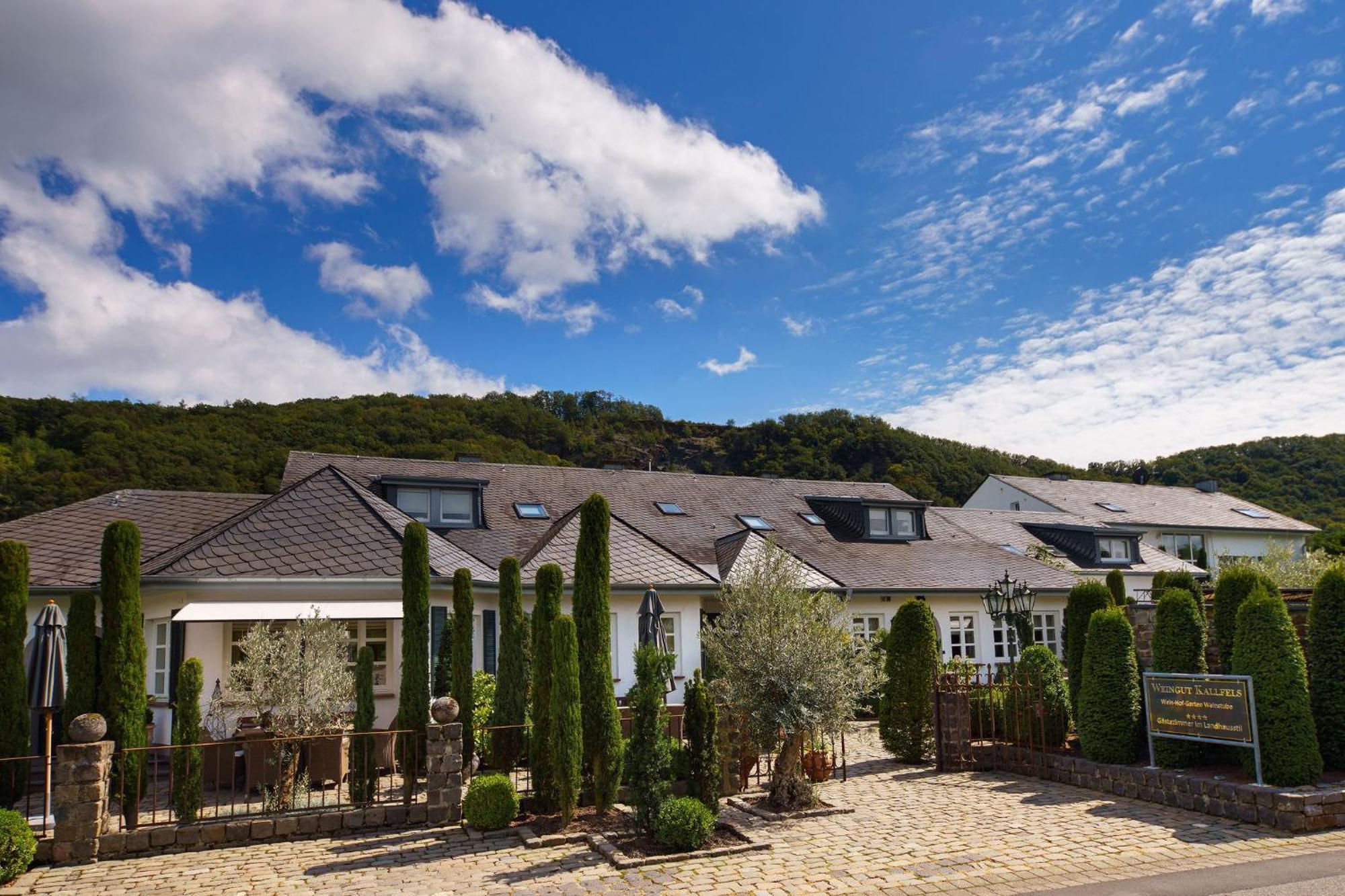 Wein Und Landhaus Kallfels Kröv Extérieur photo